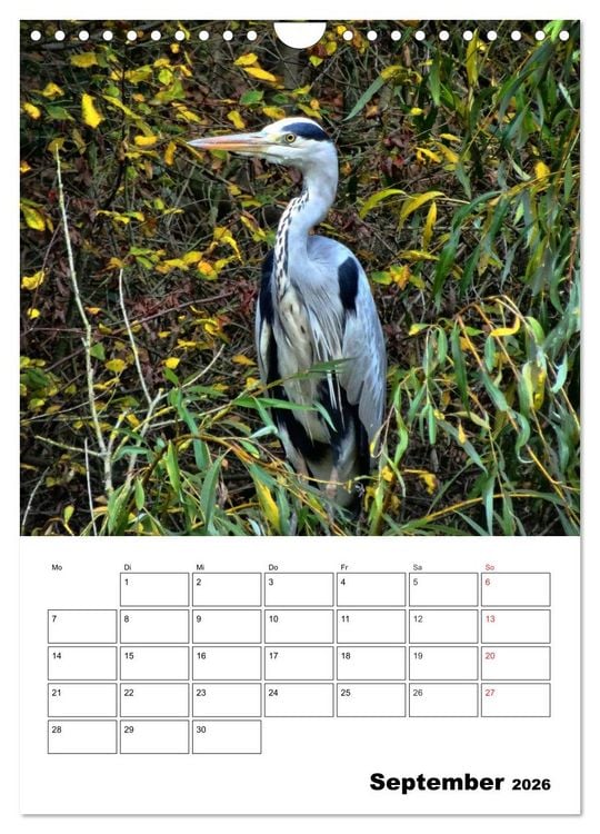 Produktbild: Heimische Wildtiere Terminplaner (Wandkalender 2026 DIN A4 hoch), CALVENDO Monatskalender