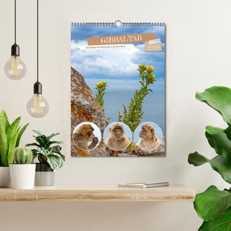 Produktbild: Gibraltar - Die Heimat der Berberaffen auf dem Rock (Wandkalender 2026 DIN A3 hoch), CALVENDO Monatskalender