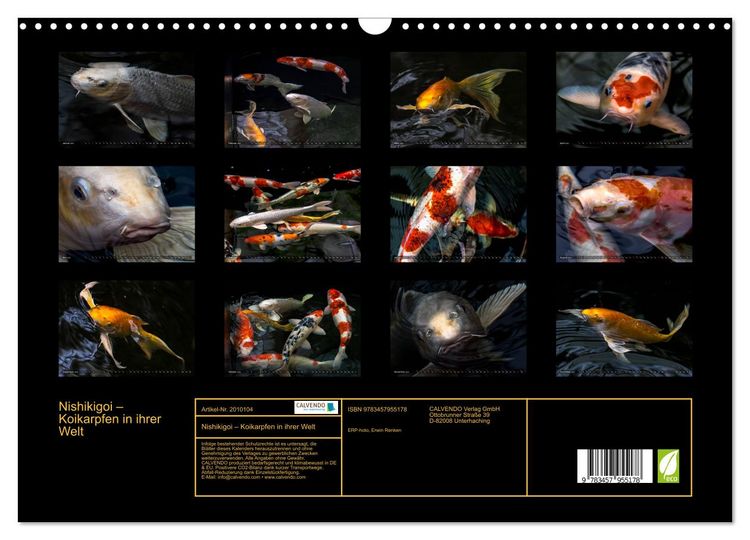 Produktbild: Nishikigoi &ndash; Koikarpfen in ihrer Welt (Wandkalender 2026 DIN A3 quer), CALVENDO Monatskalender