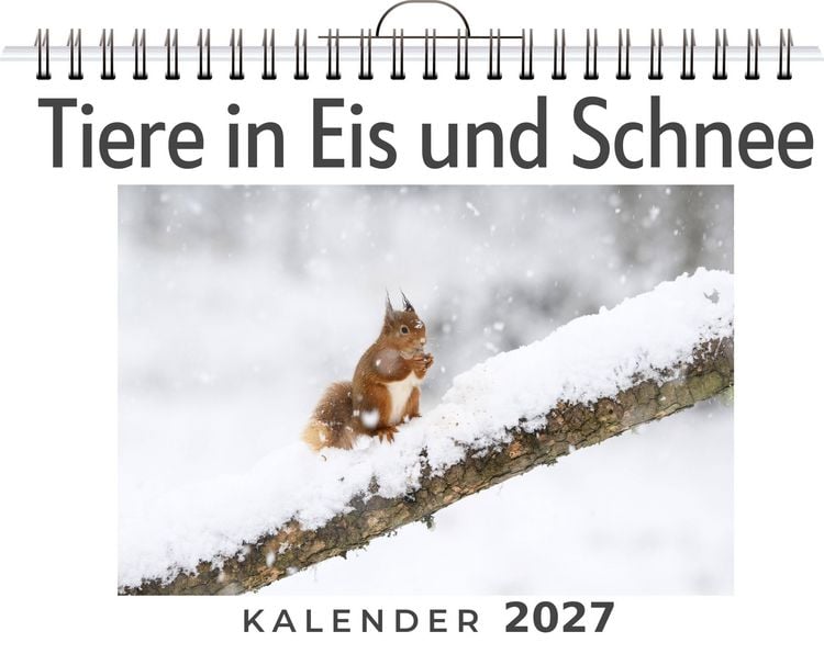 Produktbild: Tiere in Eis und Schnee