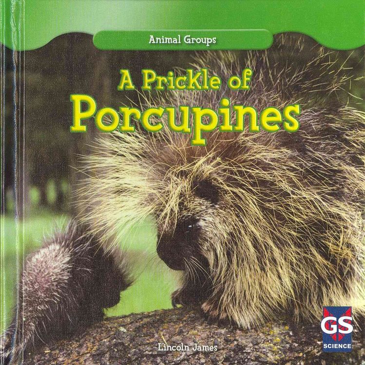 Produktbild: Prickle Of Porcupines