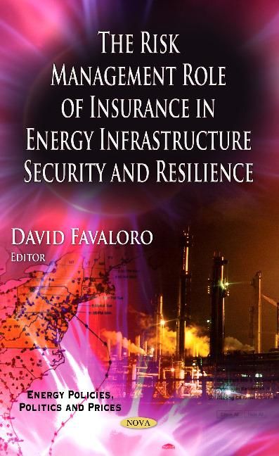 Produktbild: Risk Management Role of Insurance in Energy Infrastructure S