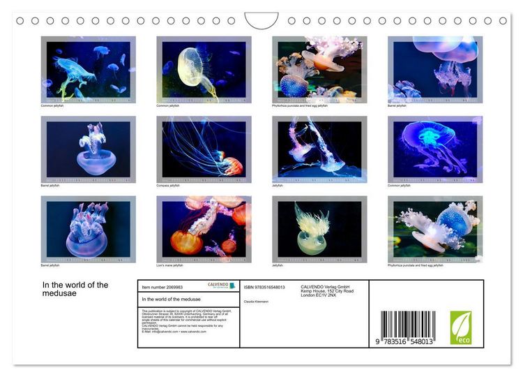 Produktbild: In the world of the medusae (Wall Calendar 2026 DIN A4 landscape), CALVENDO 12 Month Wall Calendar