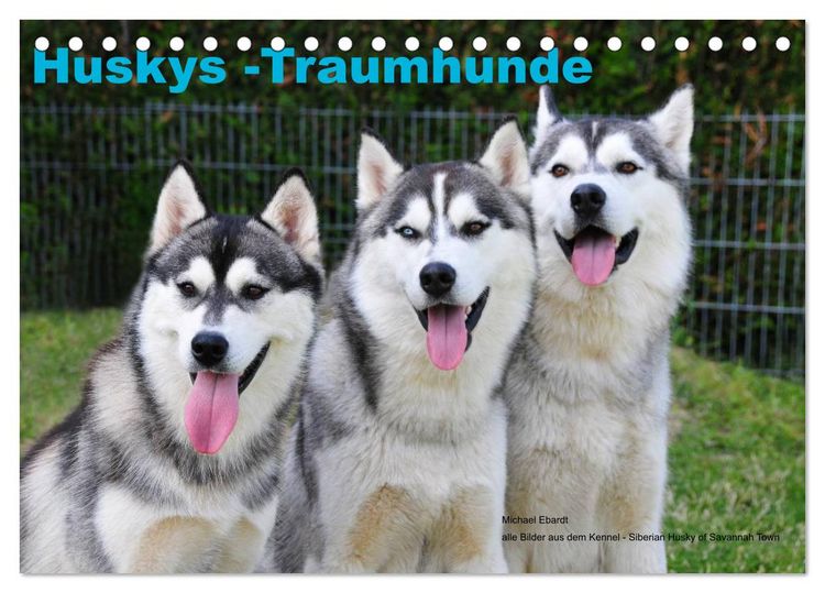 Produktbild: Huskys - Traumhunde (Tischkalender 2026 DIN A5 quer), CALVENDO Monatskalender