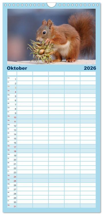 Produktbild: Familienplaner 2026 - Eichh&ouml;rnchen Luna und ihre Kinder mit 5 Spalten (Wandkalender, 21 x 45 cm) CALVENDO