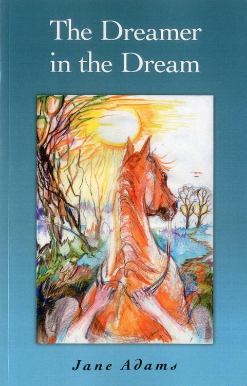 Produktbild: Dreamer in the Dream
