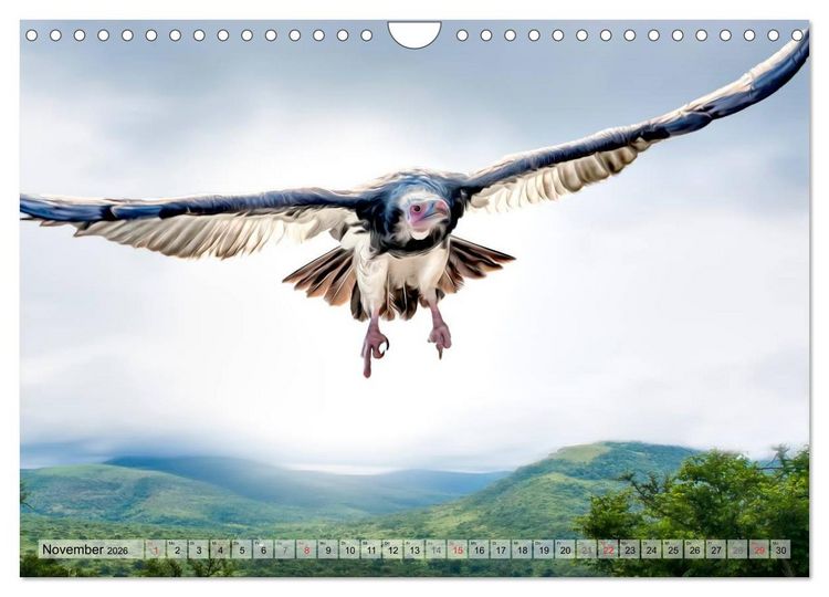 Produktbild: Faszinierende Greifv&ouml;gel hautnah (Wandkalender 2026 DIN A4 quer), CALVENDO Monatskalender