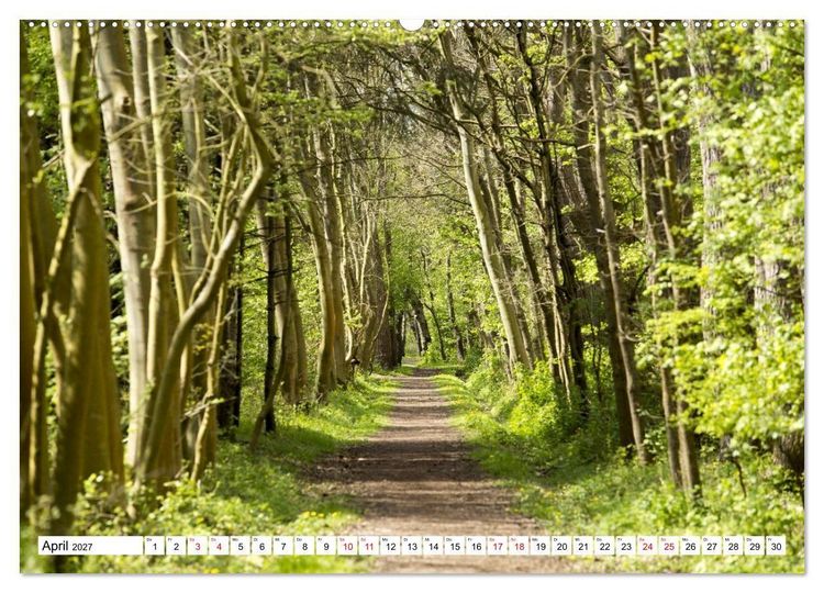 Produktbild: Langeoog - Momente einer Reise (Wandkalender 2027 DIN A2 quer), CALVENDO Monatskalender
