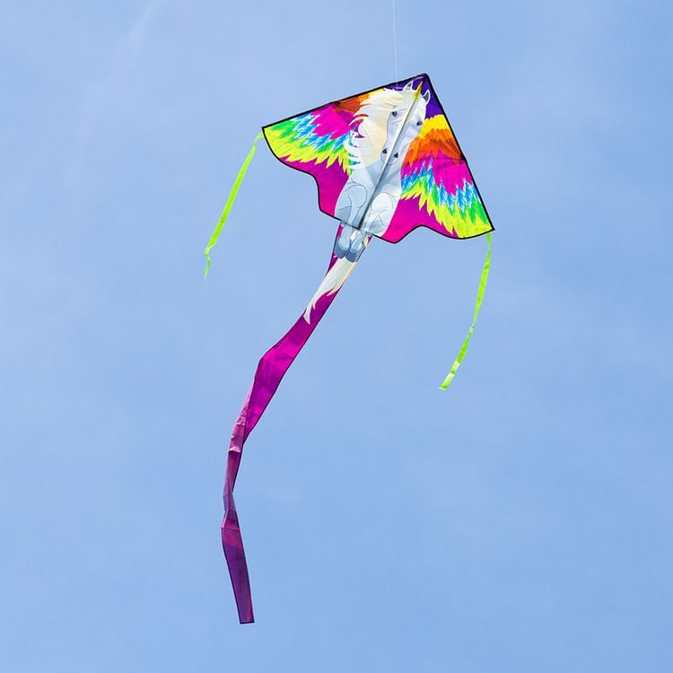 Produktbild: Ecoline Einleiner Drachen Simple Flyer Pegasus Spannweite (Details) 1200 mm Windst&auml;rken-Eignung 2 - 5 bft