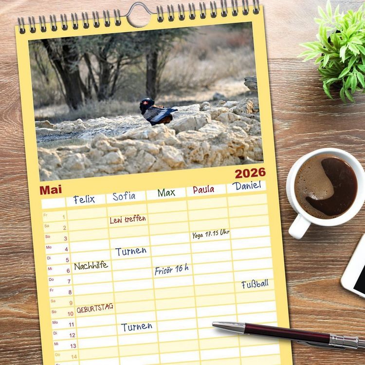 Produktbild: Familienplaner 2026 - Kgalagadi - Fauna und Wildtiere in der Kalahari mit 5 Spalten (Wandkalender, 21 x 45 cm) CALVENDO