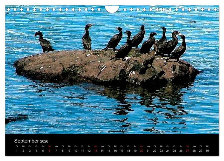 Produktbild: Neufundland entdecken (Wandkalender 2026 DIN A4 quer), CALVENDO Monatskalender
