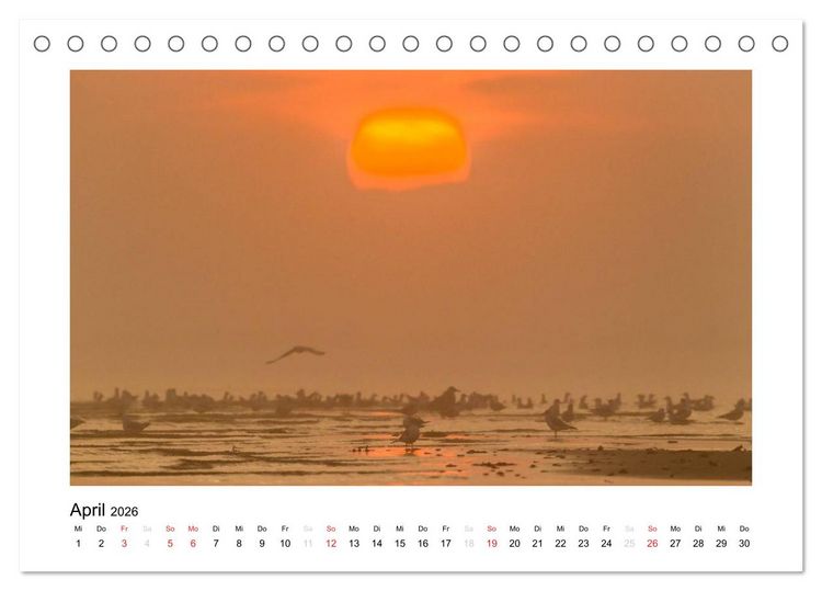 Produktbild: FEHMARN - Magische Momente (Tischkalender 2026 DIN A5 quer), CALVENDO Monatskalender