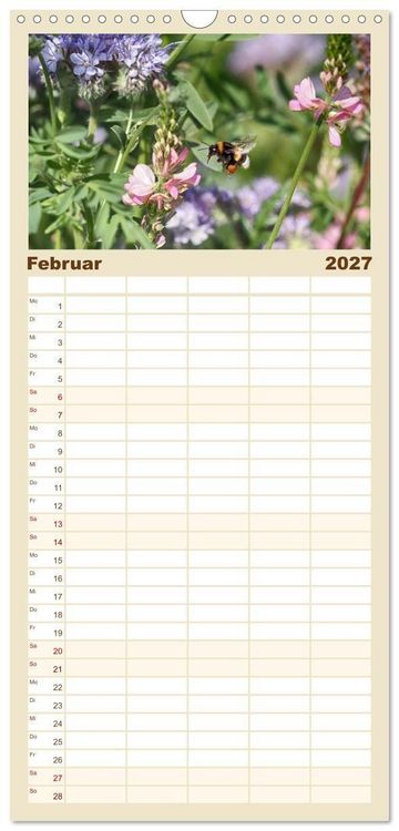 Produktbild: Familienplaner 2027 - Hummelflug mit 5 Spalten (Wandkalender, 21 x 45 cm) CALVENDO