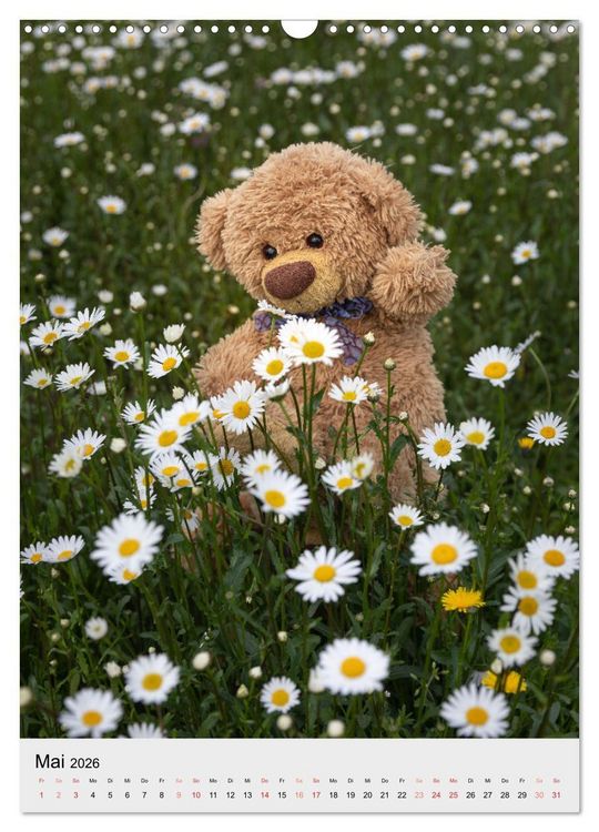 Produktbild: Travelling Teddy liebt es Bunt (Wandkalender 2026 DIN A3 hoch), CALVENDO Monatskalender