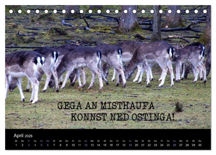 Produktbild: Baierische Lebensweisheiten (Tischkalender 2026 DIN A5 quer), CALVENDO Monatskalender