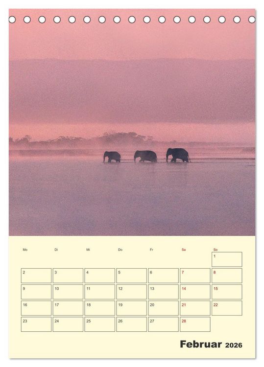 Produktbild: ELEFANTEN - Asiens graue Riesen (Tischkalender 2026 DIN A5 hoch), CALVENDO Monatskalender