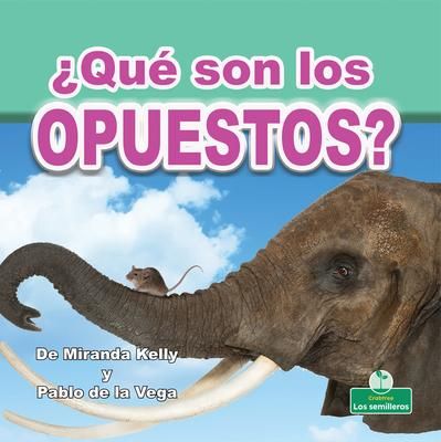Produktbild: &iquest;Qu&eacute; Son Los Opuestos? (What Are Opposites?)