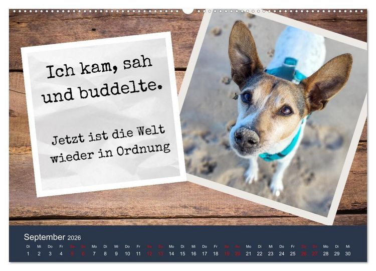 Produktbild: Ratonero Bodeguero Andaluz (Wandkalender 2026 DIN A2 quer), CALVENDO Monatskalender