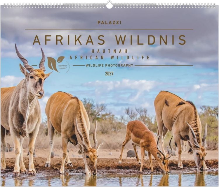 Produktbild: Hautnah - Afrikas Wildnis 2027