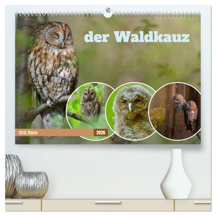 Produktbild: der Waldkauz - Strix Aluco (hochwertiger Premium Wandkalender 2026 DIN A2 quer), Kunstdruck in Hochglanz
