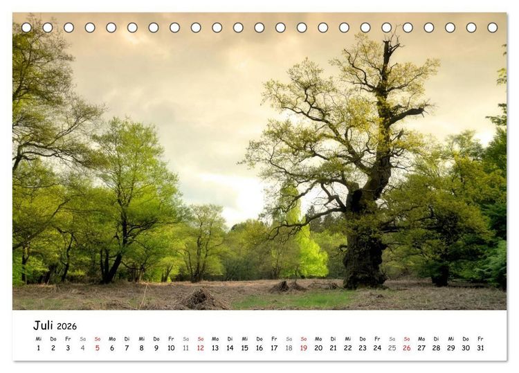 Produktbild: Morgendliche Stimmungen in Nordhessen (Tischkalender 2026 DIN A5 quer), CALVENDO Monatskalender
