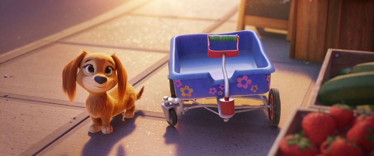 Produktbild: Paw Patrol: Der Kinofilm
