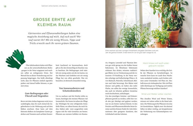 Produktbild: Deine Fensterbank kann Garten!