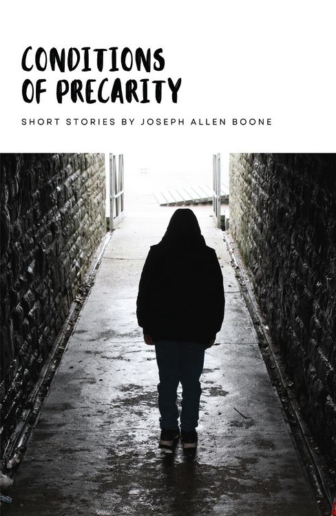 Produktbild: Conditions of Precarity