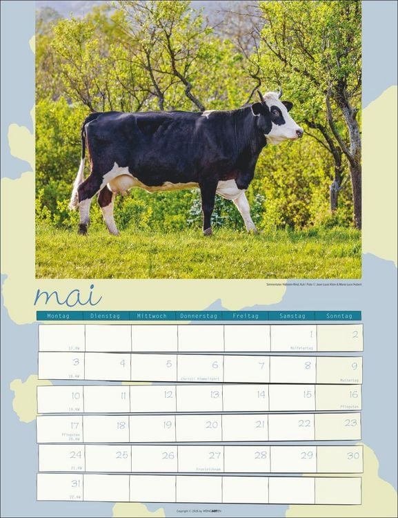 Produktbild: Kuh Kalender 2027