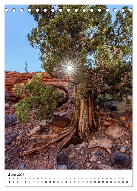 Produktbild: Eine Reise durch die Canyons der USA (Tischkalender 2026 DIN A5 hoch), CALVENDO Monatskalender