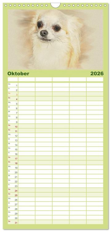 Produktbild: Familienplaner 2026 - Chihuahuas 2026 mit 5 Spalten (Wandkalender, 21 x 45 cm) CALVENDO