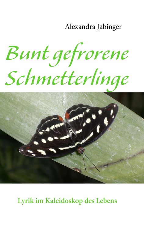 Produktbild: Bunt gefrorene Schmetterlinge