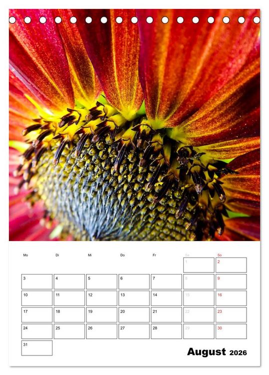 Produktbild: Strahlende Sonnenblumen (Tischkalender 2026 DIN A5 hoch), CALVENDO Monatskalender