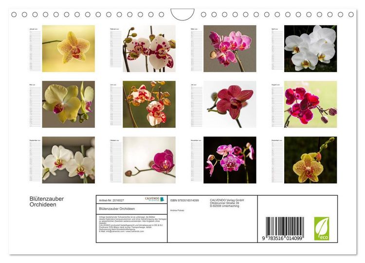 Produktbild: Bl&uuml;tenzauber Orchideen (Wandkalender 2026 DIN A4 quer), CALVENDO Monatskalender