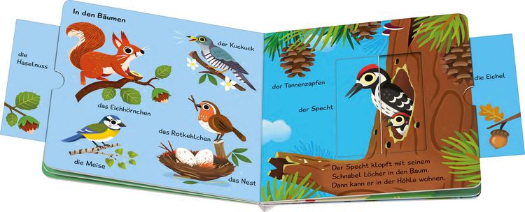 Produktbild: Meine ersten W&ouml;rter vom Wald (X)