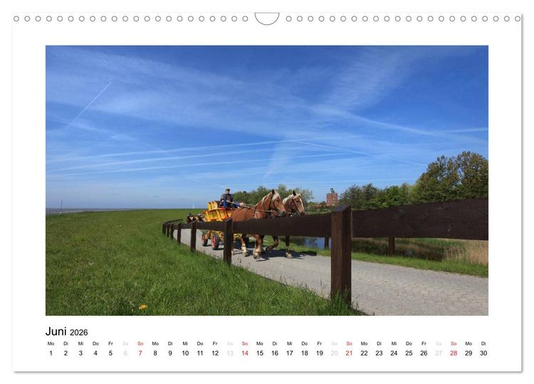 Produktbild: Die sch&ouml;ne Insel Neuwerk (Wandkalender 2026 DIN A3 quer), CALVENDO Monatskalender