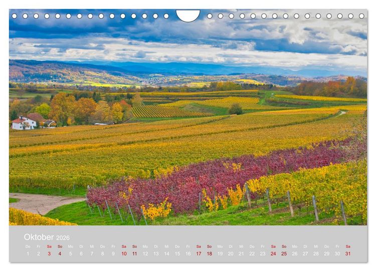 Produktbild: Ettenheim - Perle der Ortenau (Wandkalender 2026 DIN A4 quer), CALVENDO Monatskalender