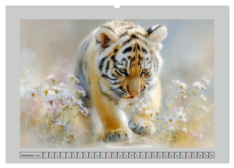 Produktbild: Tigerbabys. Kleine J&auml;ger erkunden die Welt (Wandkalender 2027 DIN A2 quer), CALVENDO Monatskalender