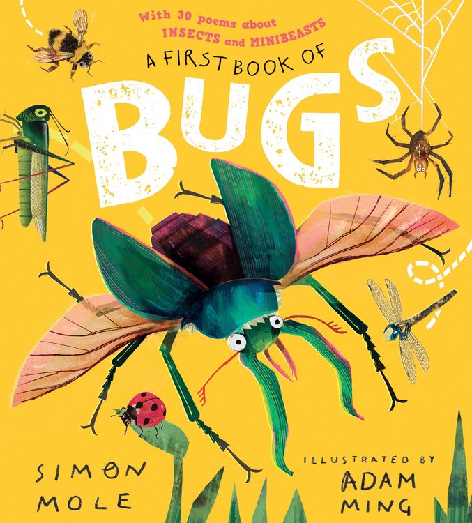 Produktbild: First Book of Bugs: with 30 poems about insects and minibeasts