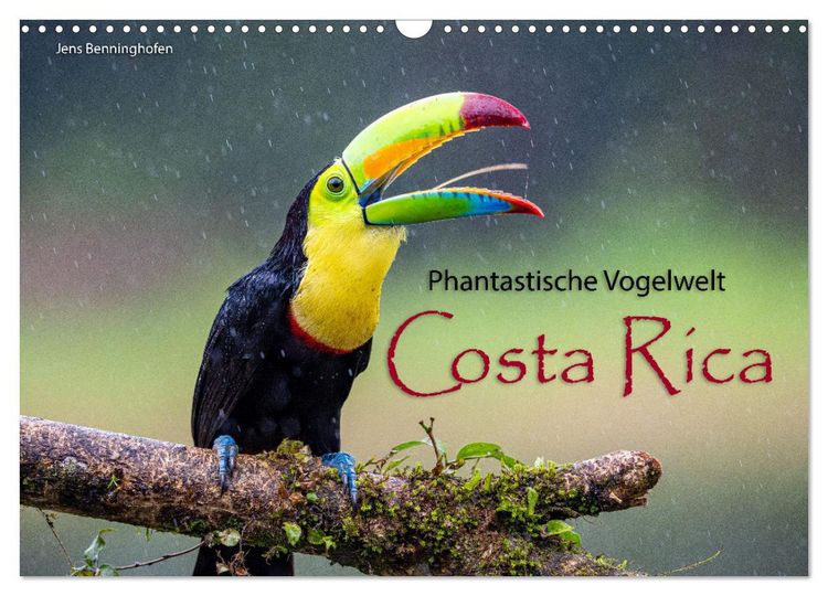 Produktbild: Phantastische Vogelwelt Costa Rica (Wandkalender 2026 DIN A3 quer), CALVENDO Monatskalender