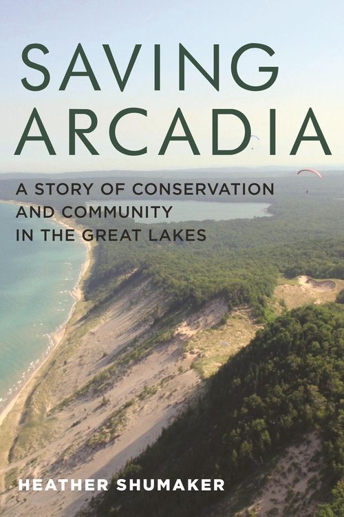 Produktbild: Saving Arcadia