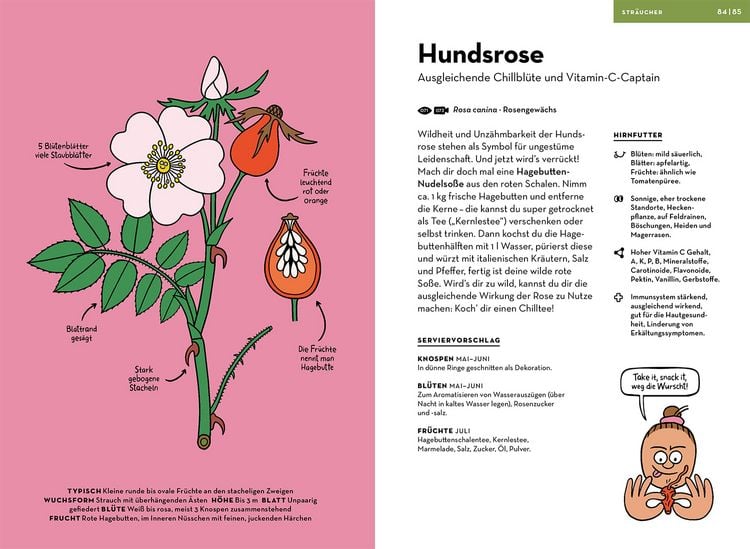 Produktbild: Wilde Pflanzen essen
