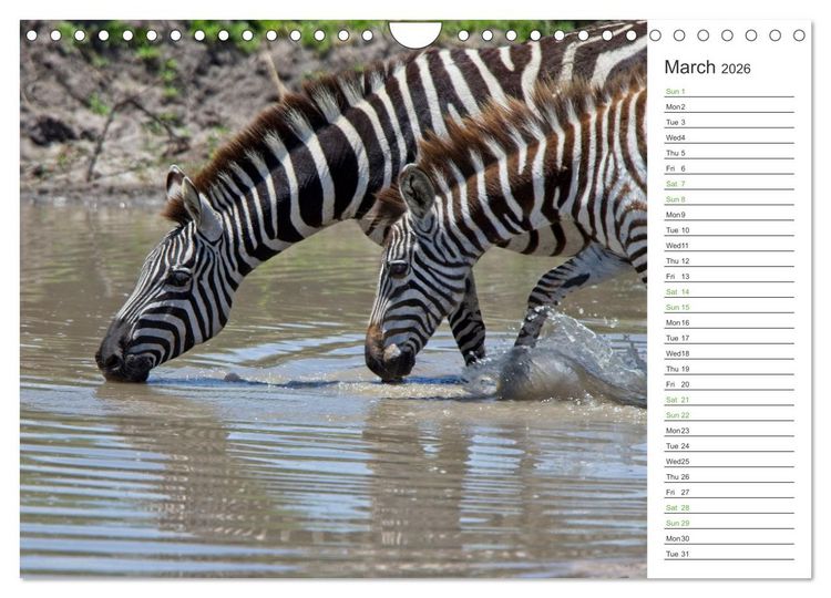 Produktbild: Kenya - its Wildlife (Wall Calendar 2026 DIN A4 landscape), CALVENDO 12 Month Wall Calendar
