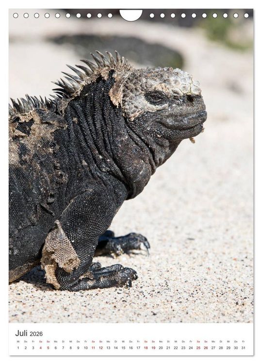 Produktbild: Galapagos - Atemberaubende Tierwelt (Wandkalender 2026 DIN A4 hoch), CALVENDO Monatskalender