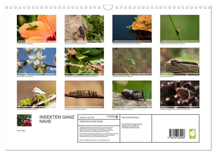 Produktbild: INSEKTEN GANZ NAHE (Wandkalender 2026 DIN A3 quer), CALVENDO Monatskalender
