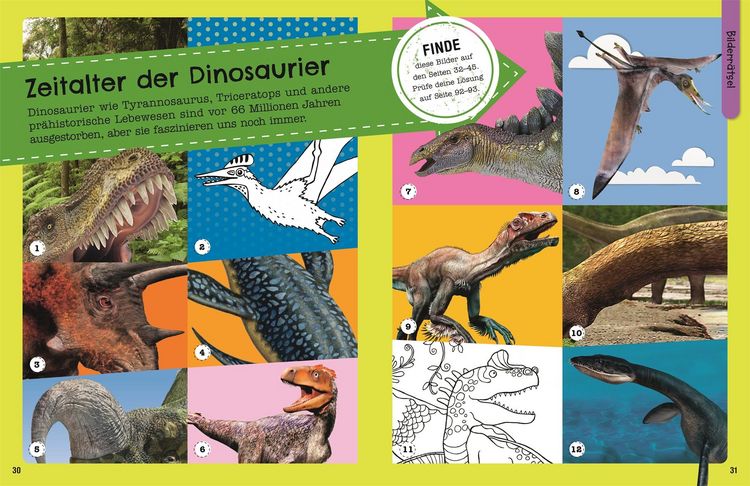 Produktbild: Mein Mitmach-Wissens-Kick. Dinosaurier