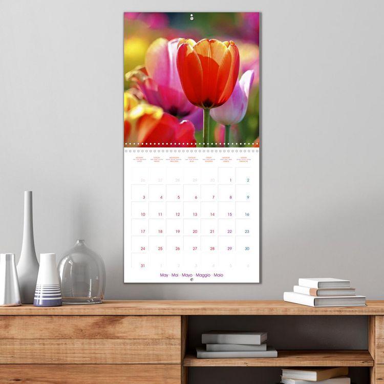 Produktbild: Tulips - Harbingers of Spring (Wall Calendar 2027 12 &times; 12 Inch) CALVENDO 12 Month Wall Calendar