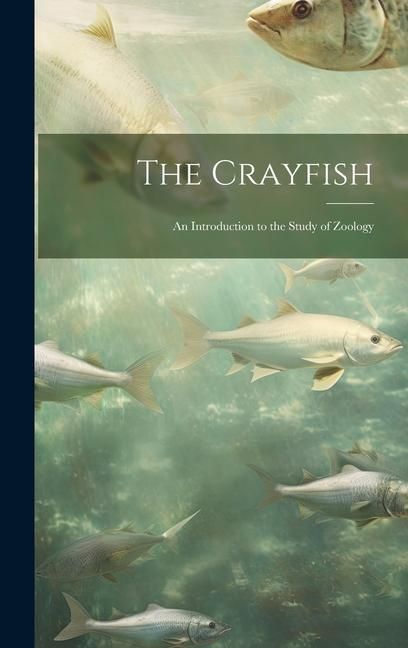 Produktbild: The Crayfish