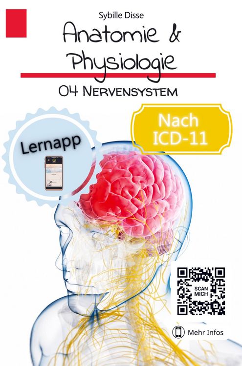 Produktbild: Sybille Disse: Anatomie & Physiologie Band 04: Nervensystem