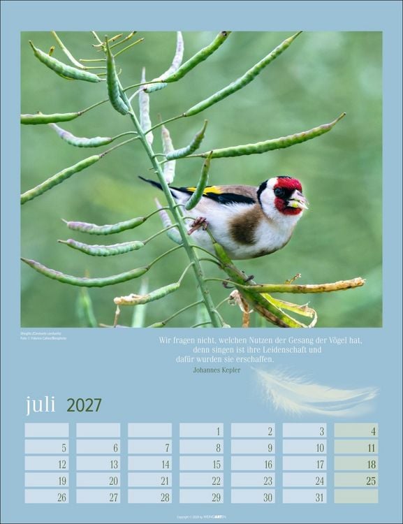 Produktbild: Heimische V&ouml;gel Kalender 2027